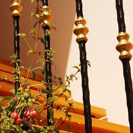 Apartment Mladenka Visnjik زادار المظهر الخارجي الصورة